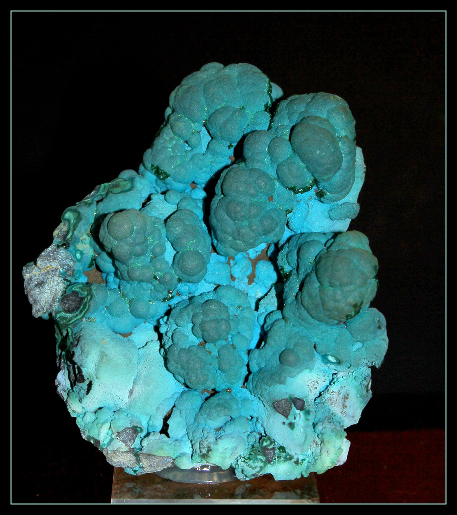 Chrysocolle (1)