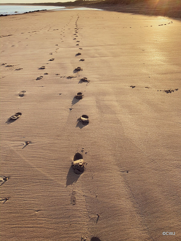 Findhorn Beach at dawn
