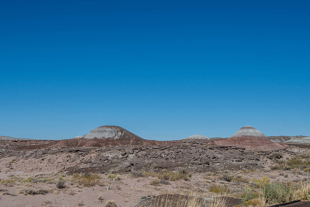 The painted desert8