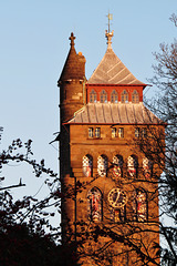 cardiff castle (245)