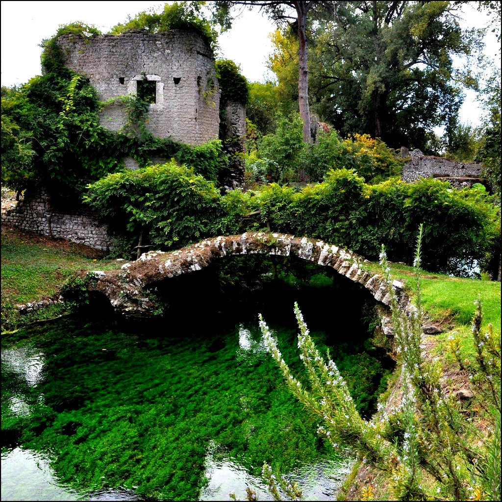 A green corner.