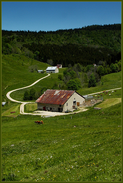 Région de la Pesse -Jura