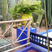 Jardin Majorelle