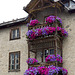 Balconies flowering in Livigno (SO)