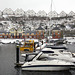 Penarth Marina