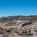 The painted desert9