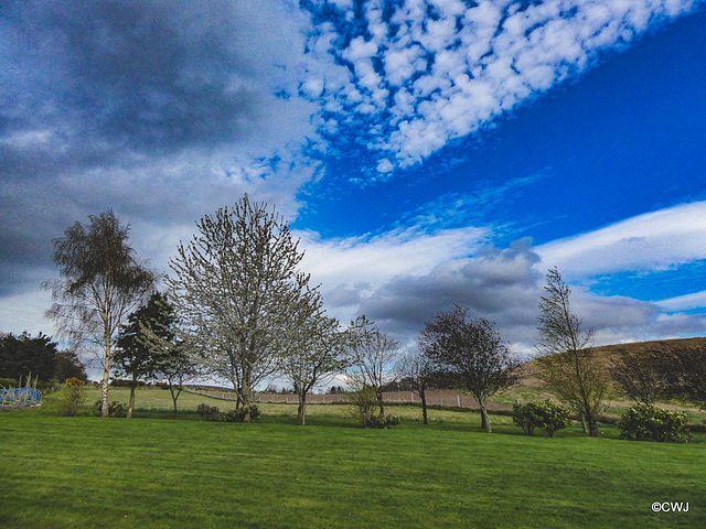 Ominous afternoon skies...