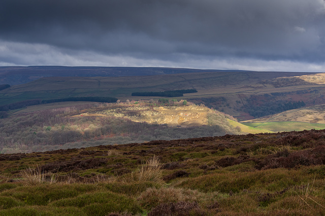 Hurst Moor and Shire Hill