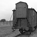 Auschwitz (32) - 19 September 2015