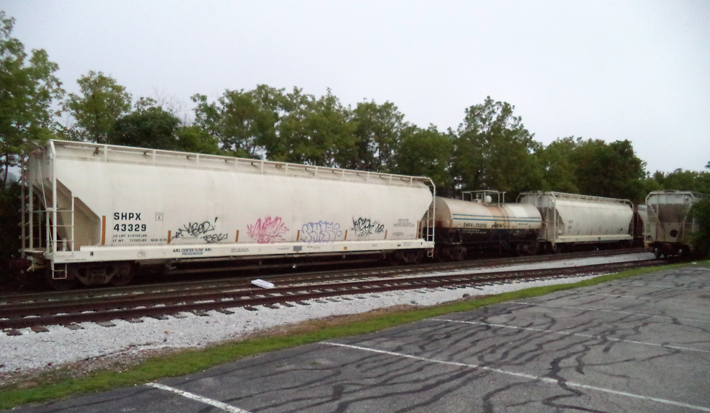 Graffitis sur wagon / Tags on wagon