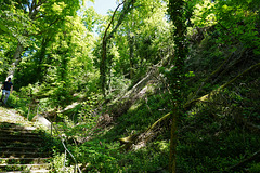 Wanderung in einem Schluchtwald - Hiking in a gorge forest