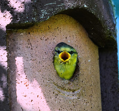 Hello World !!! Hello World !!!