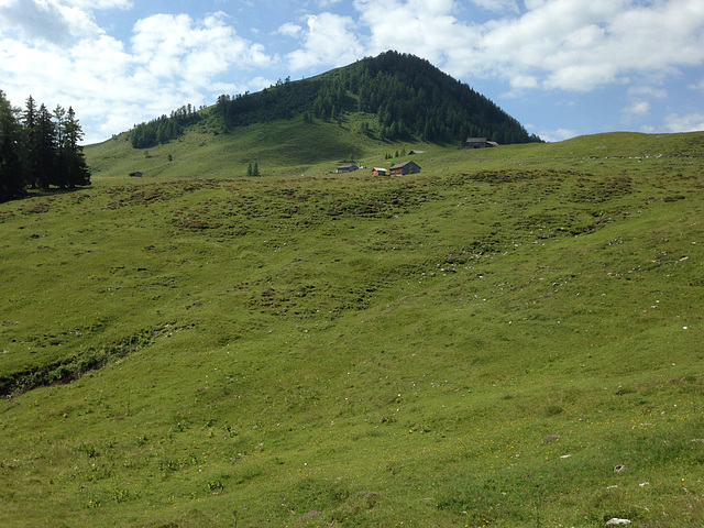 Alpen 2015 036