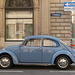 A Beetle in Vienna (1) - 21 August 2017