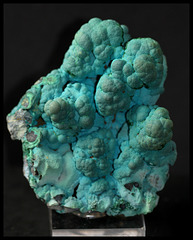 Chrysocolle