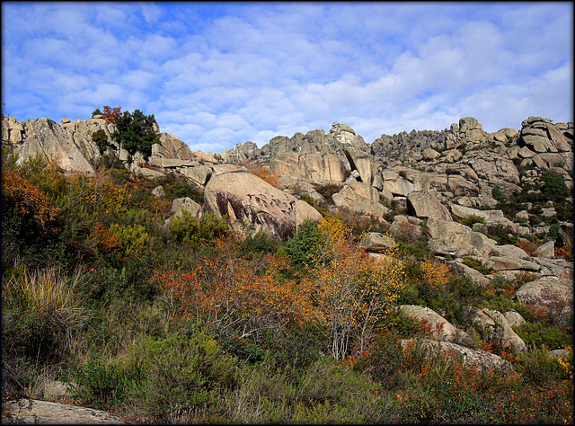 Autumn in La Sierra de La Cabrera