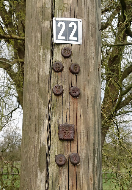 Telefonmast mit Bezeichnungsnägeln