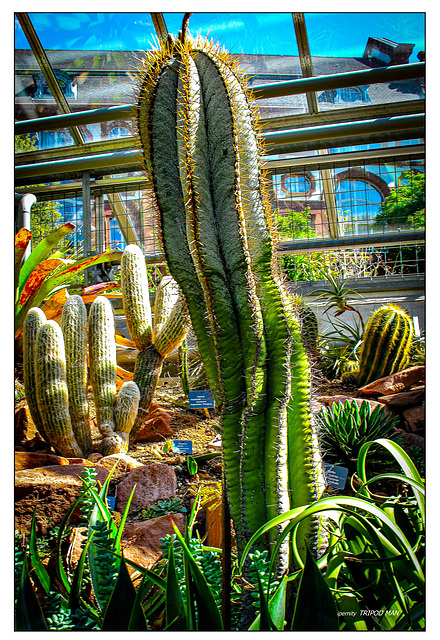 Botanischer Garten Basel