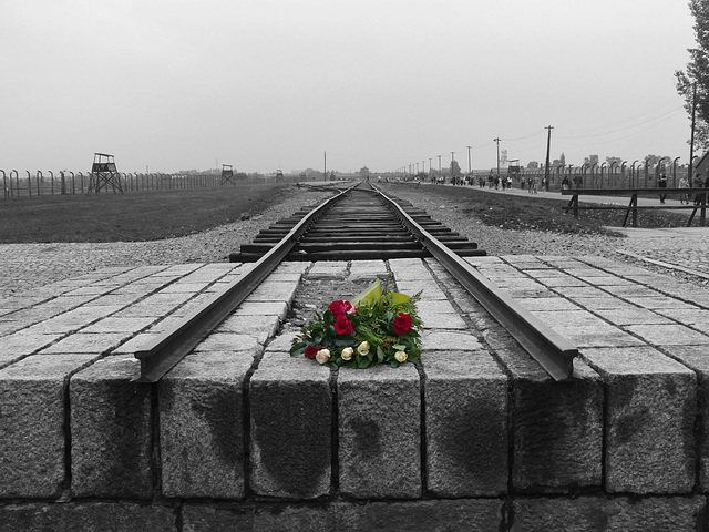 Auschwitz (34) - 19 September 2015