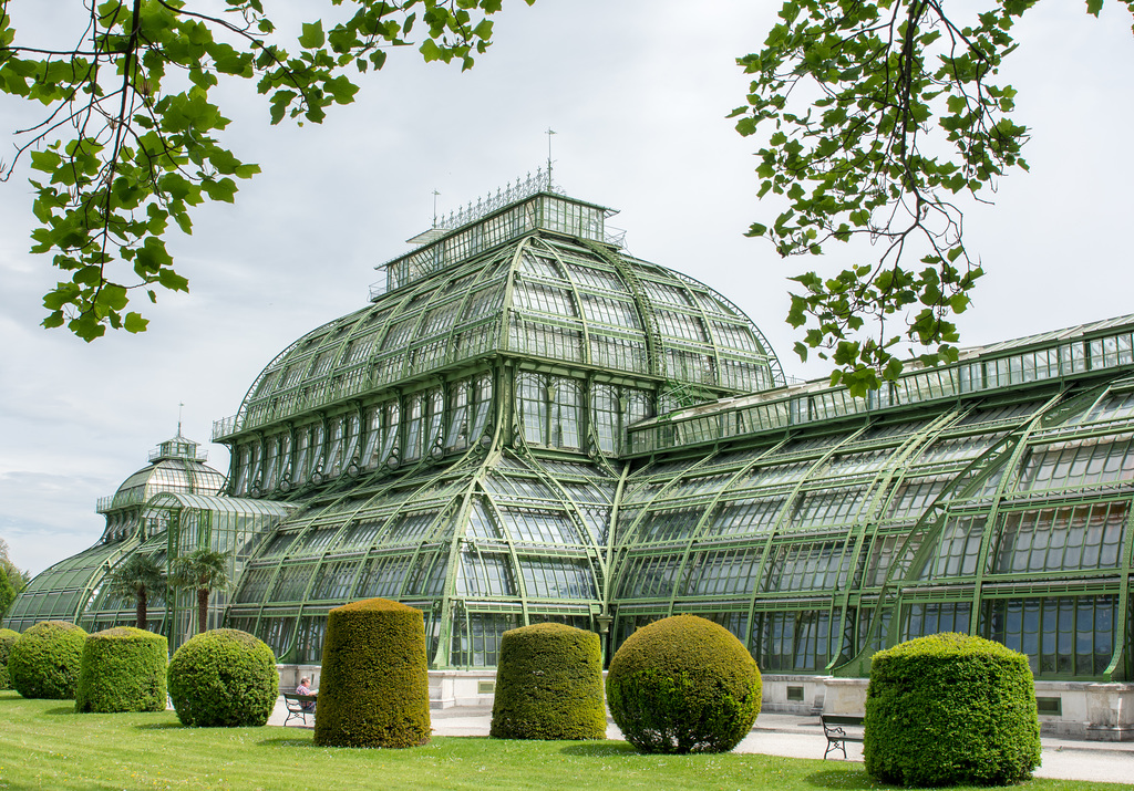 Serre aux palmiers de Schönbrunn
