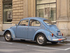 A Beetle in Vienna (2) - 21 August 2017