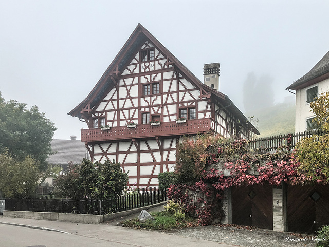 Weierbach Hus in Eglisau