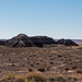 The painted desert11