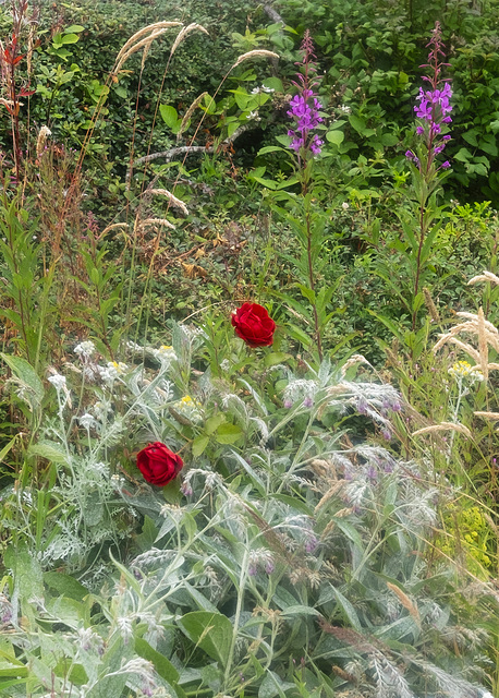 Remembrance Garden