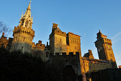 cardiff castle (249)