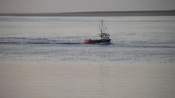 A fishing boat coming home at the end of the day