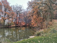 Herbst am Karlsgraben