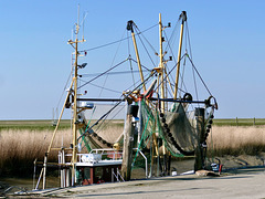 Fischkutter an der Wurster Nordseeküste