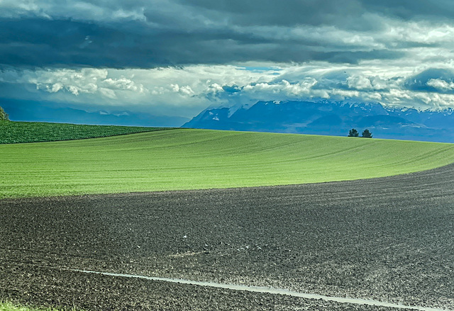 crossing Switzerland