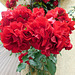 Grappe de roses chez mon fils****************