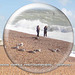 Gulls ignore female photogs - Seaford - 29.8.2014