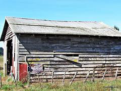 Old Boards