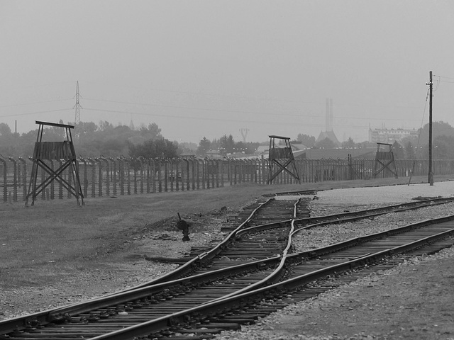 Auschwitz (35) - 19 September 2015