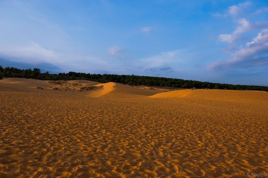 in den "Roten Sanddünen" von Mui Ne (© Buelipix)