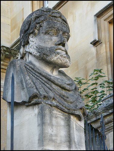 Sheldonian head no.17