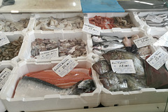 Fano 2019 – Fish market