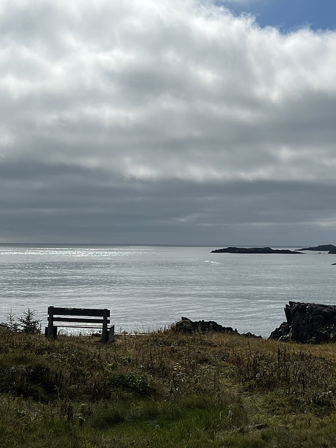 Bench at log house