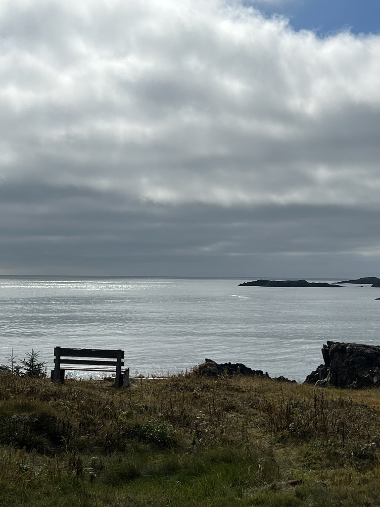 Bench at log house