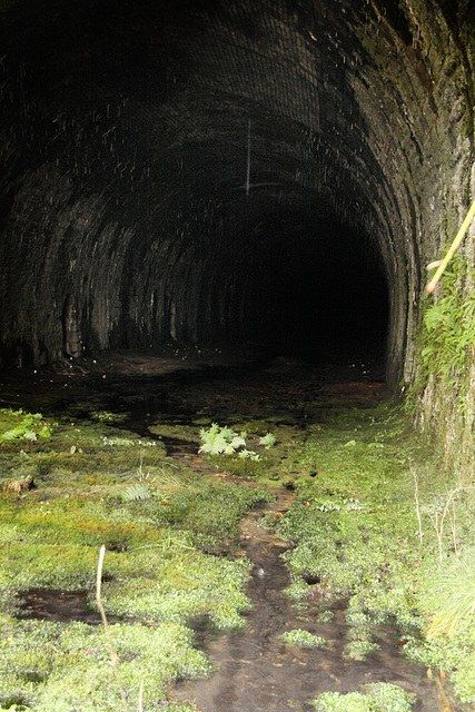 Pencaedrain Tunnel