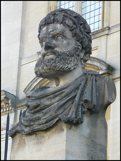 Sheldonian head no.15