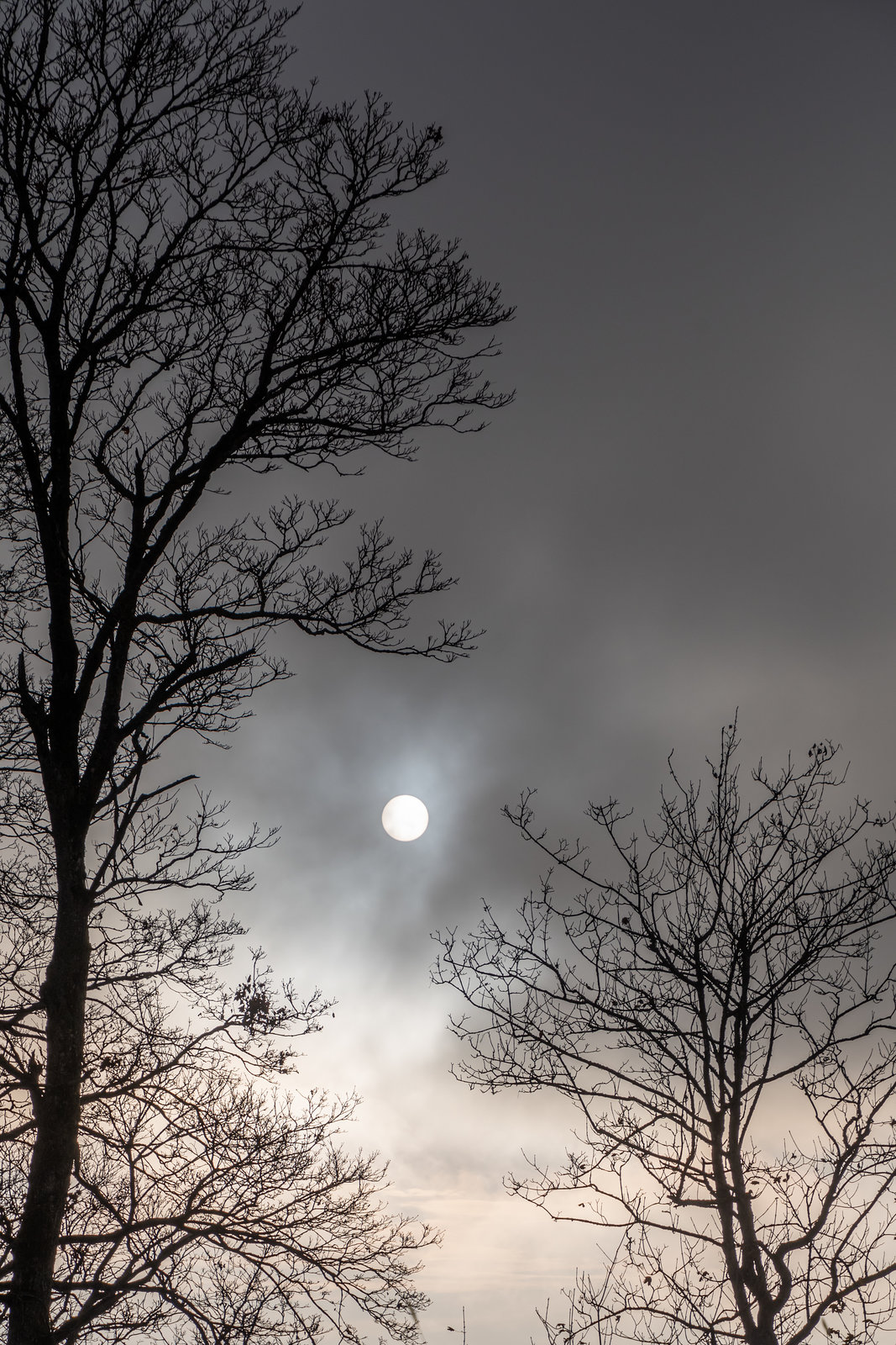 Hoher Lichtschutzfaktor ...