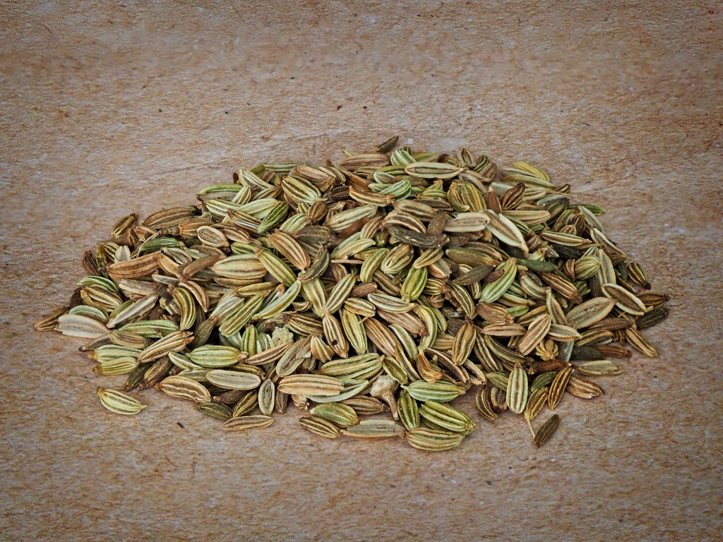 Fennel Seeds