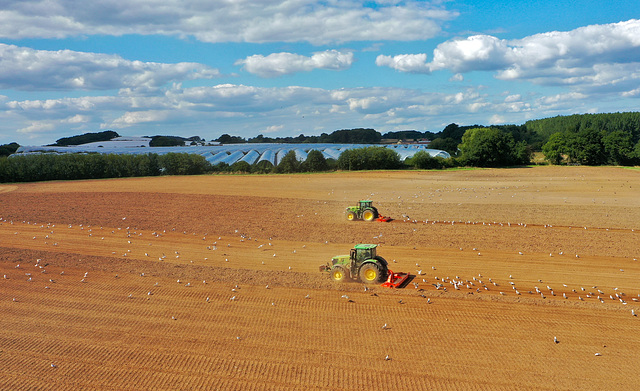 Autumn harrowing