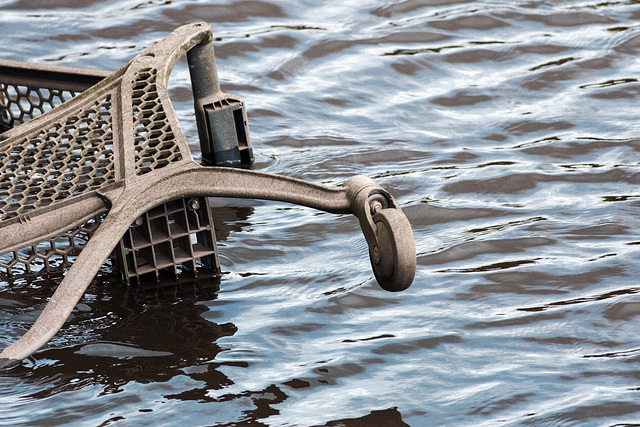 Supermarket Trolley in Denny's Dock