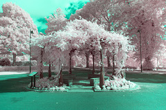 Bandstand - Infrared