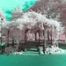 Bandstand - Infrared